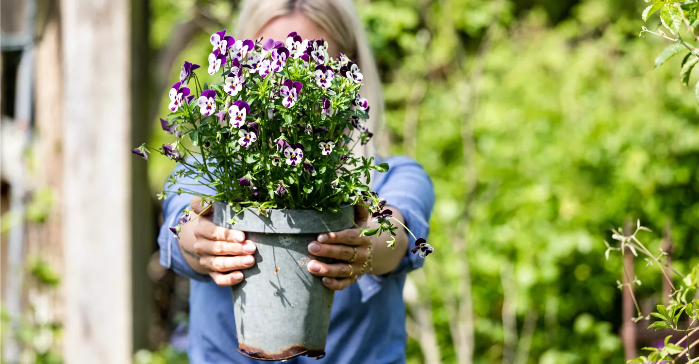 Wir suchen dich! - Unsere Stellenangebote Wir suchen dich! - Unsere Stellenangebote