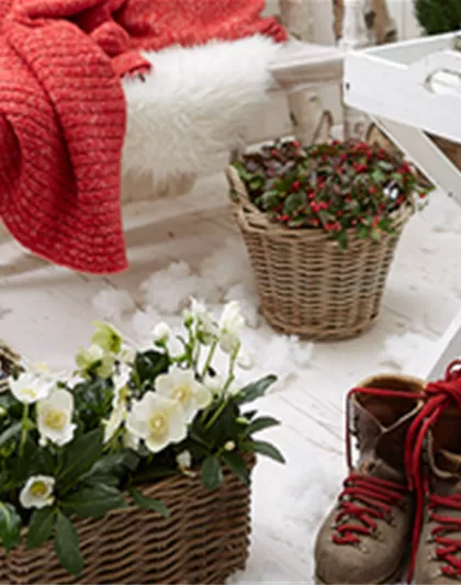 Grün erleben Tipp Grün erleben Tipp