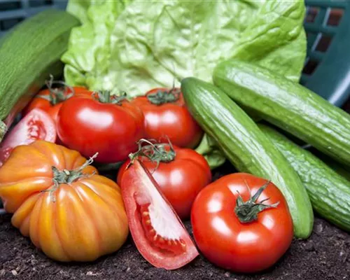 ERNTEDANKFEST  ERNTEDANKFEST