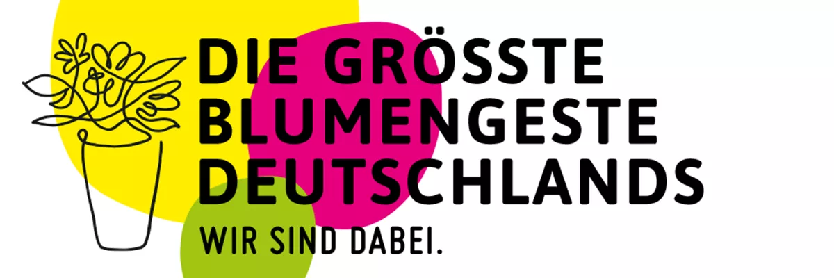 lbd_contenseite_header