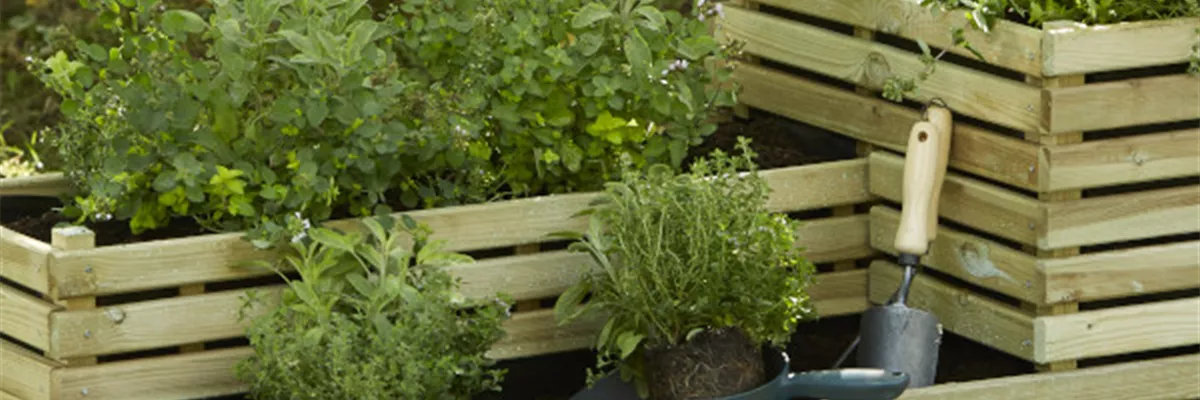 HOCH, HöHER, HOCHBEET!