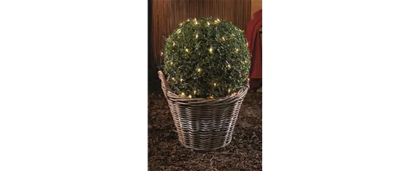 DRAUSSEN FUNKELT ES SEHR! DRAUSSEN FUNKELT ES SEHR!