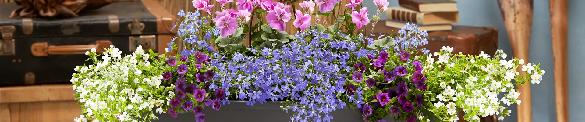 DIE SCHÖNSTEN BALKONKÄSTEN!