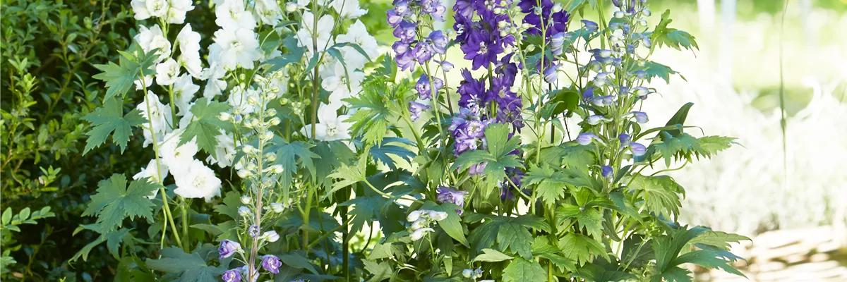 URLAUBSFLAIR FÜR ZUHAUSE. 