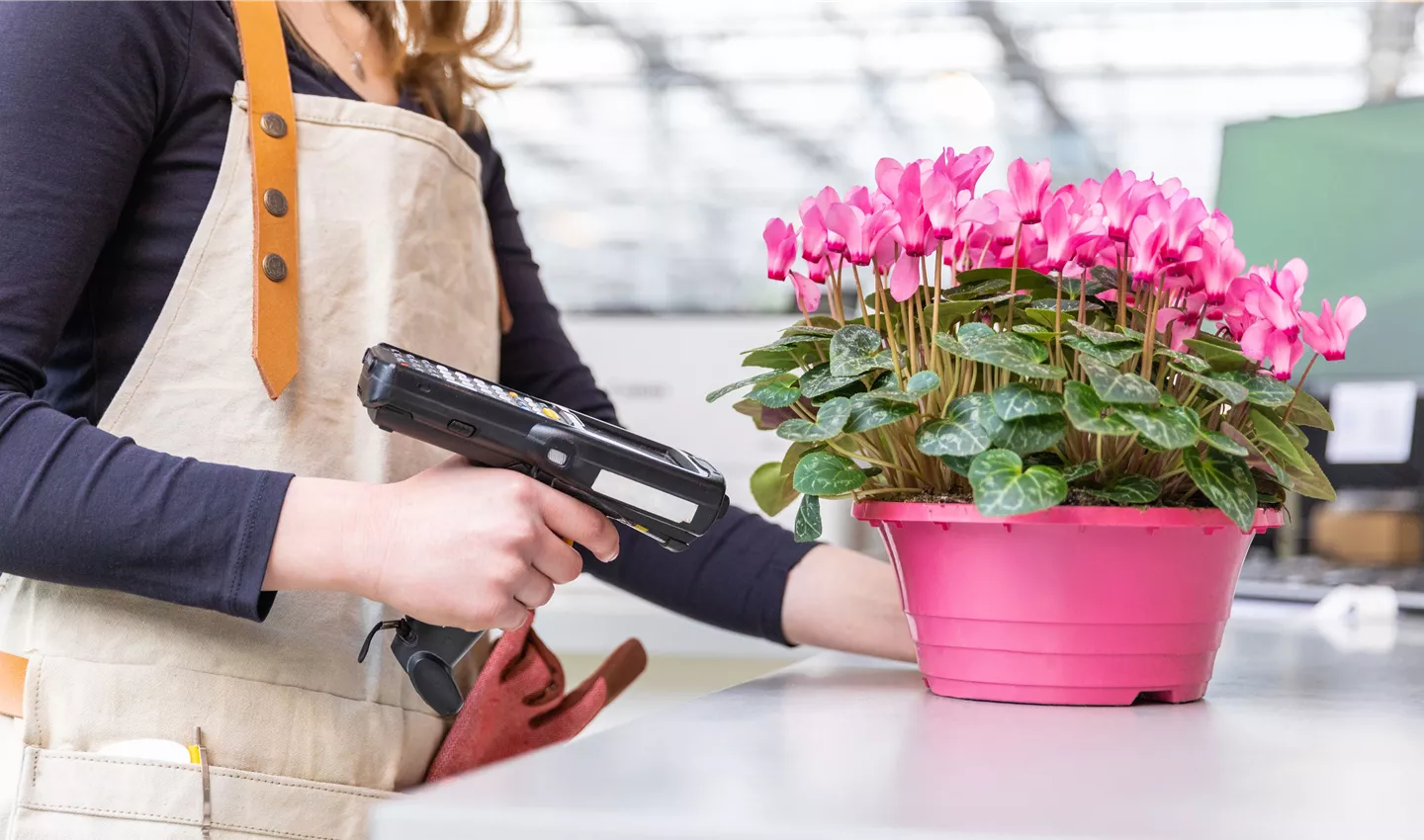 Unsere - Angebote Unsere - Angebote