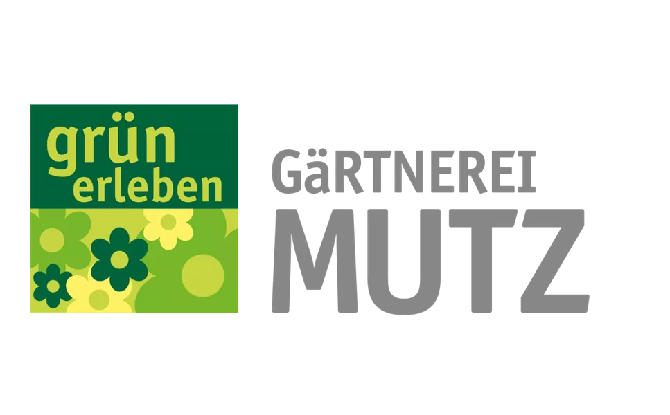 Störer-Bild