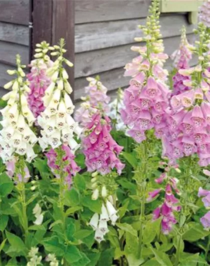 URLAUBSFLAIR FÜR ZUHAUSE. 