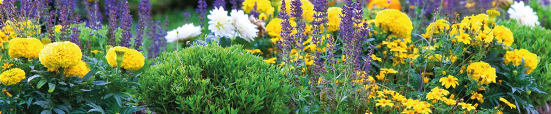 AB INS BEET! WIR FEIERN DEN TAG DES GARTENS.