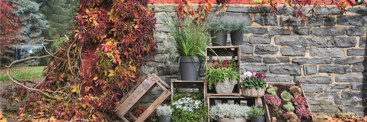 WIR SIND FEUER & FLAMME! 