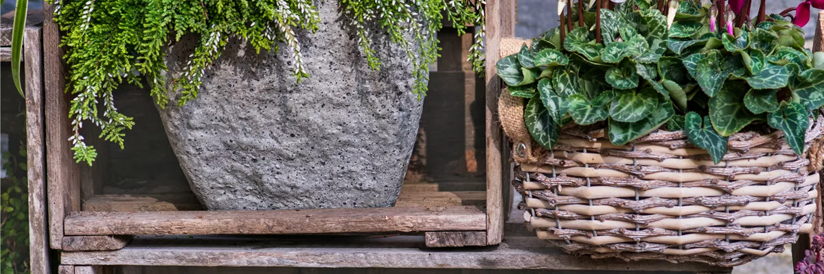 DIE FARBEN DES HERBSTES!