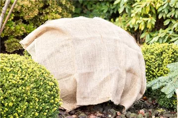 GUT GESCHÜTZT DURCH DEN WINTER! GUT GESCHÜTZT DURCH DEN WINTER!