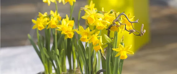 BUNTES OSTERFEST MIT FRüHLINGSBOTEN! BUNTES OSTERFEST MIT FRüHLINGSBOTEN!