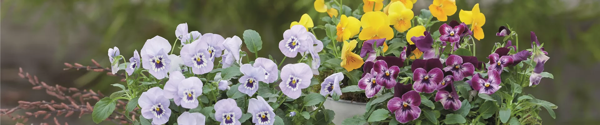 WIR LIEBEN DEN FRüHLING! 