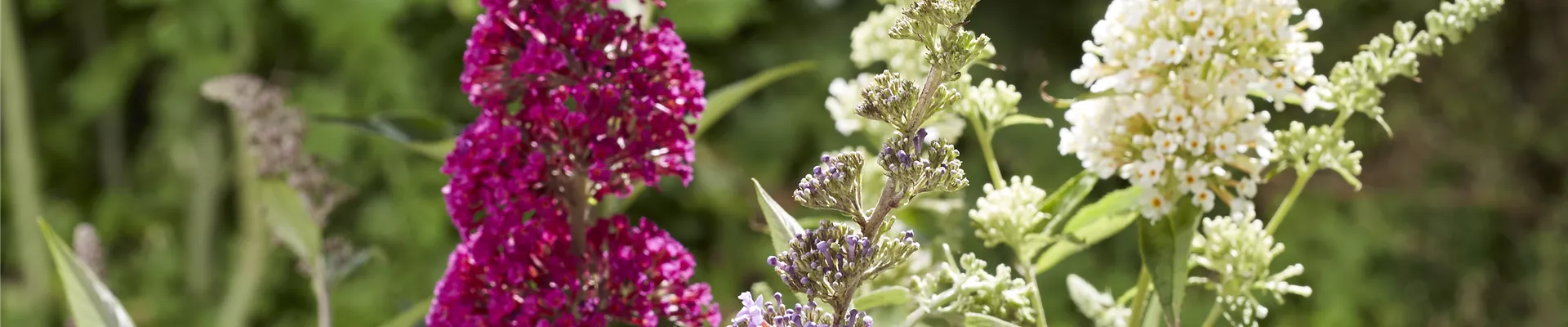 ROMANTISCH ENTSPANNEN! 