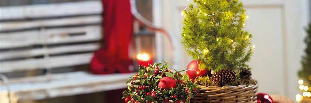 WINTERZAUBER AUF BALKON & TERRASSE! 