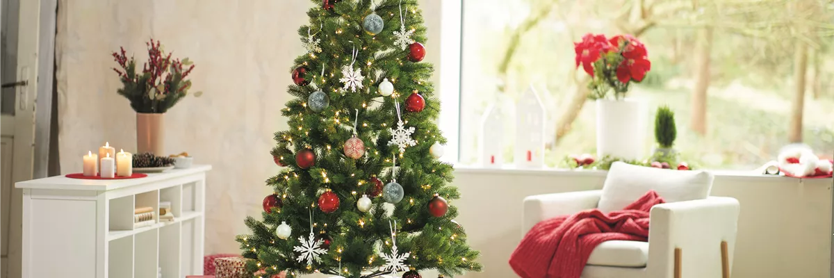 WEIHNACHTSBäUME EINMAL ANDERS!