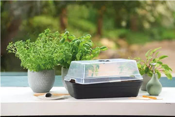 PLATZ DA AUF DER FENSTERBANK!