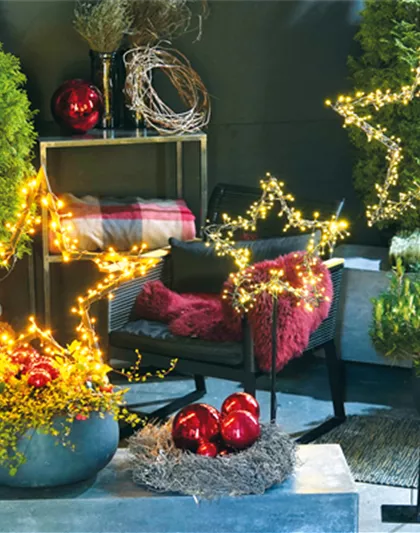 LICHTBLICKE IM WINTER-GARTEN! LICHTBLICKE IM WINTER-GARTEN!