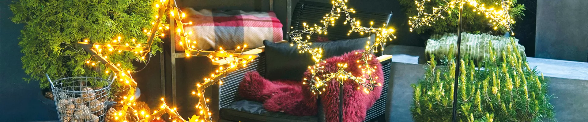 LICHTBLICKE IM WINTER-GARTEN!