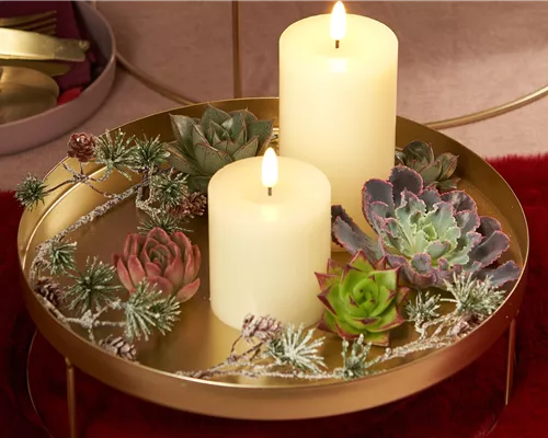 IM GLANZ DER ELEGANZ!