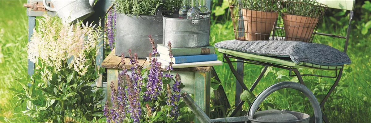 SOMMER IM STAUDENGARTEN!