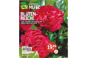 Aktuelle Angebote