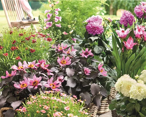 BLÜHENDER GARTEN! AUSDAUERNDE STAUDEN FÜR TERRASSEN UND BEETE. 