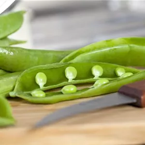 GEMüSE AUS EIGENEM ANBAU! GEMüSE AUS EIGENEM ANBAU!