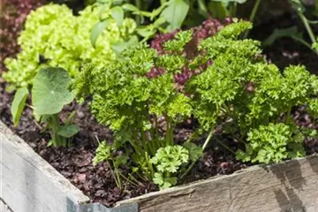 DAS DIY-HOCHBEET! DAS DIY-HOCHBEET!