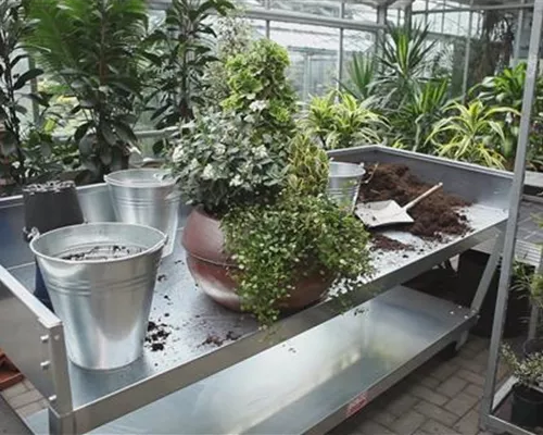 Blumenkübel - Dauerhafte Bepflanzung Blumenkübel - Dauerhafte Bepflanzung