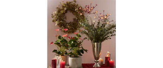 LICHTER IM HERBST LICHTER IM HERBST