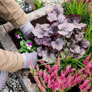 DAS GRAB IM HERBST! DAS GRAB IM HERBST!