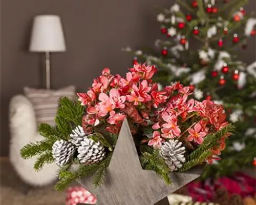 ADVENT - MIT SCHöNEN IDEEN DURCH DIE VORWEIHNACHTSZEIT ADVENT - MIT SCHöNEN IDEEN DURCH DIE VORWEIHNACHTSZEIT