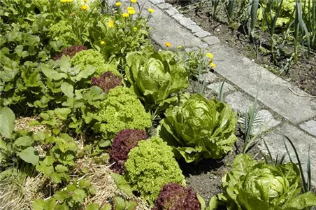 GENUSS-GARTEN!
