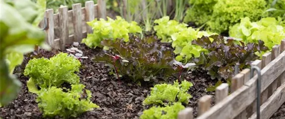 GENUSS-GARTEN!