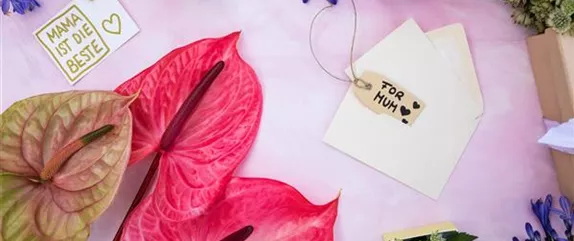 BLUMEN ZUM MUTTERTAG BLUMEN ZUM MUTTERTAG